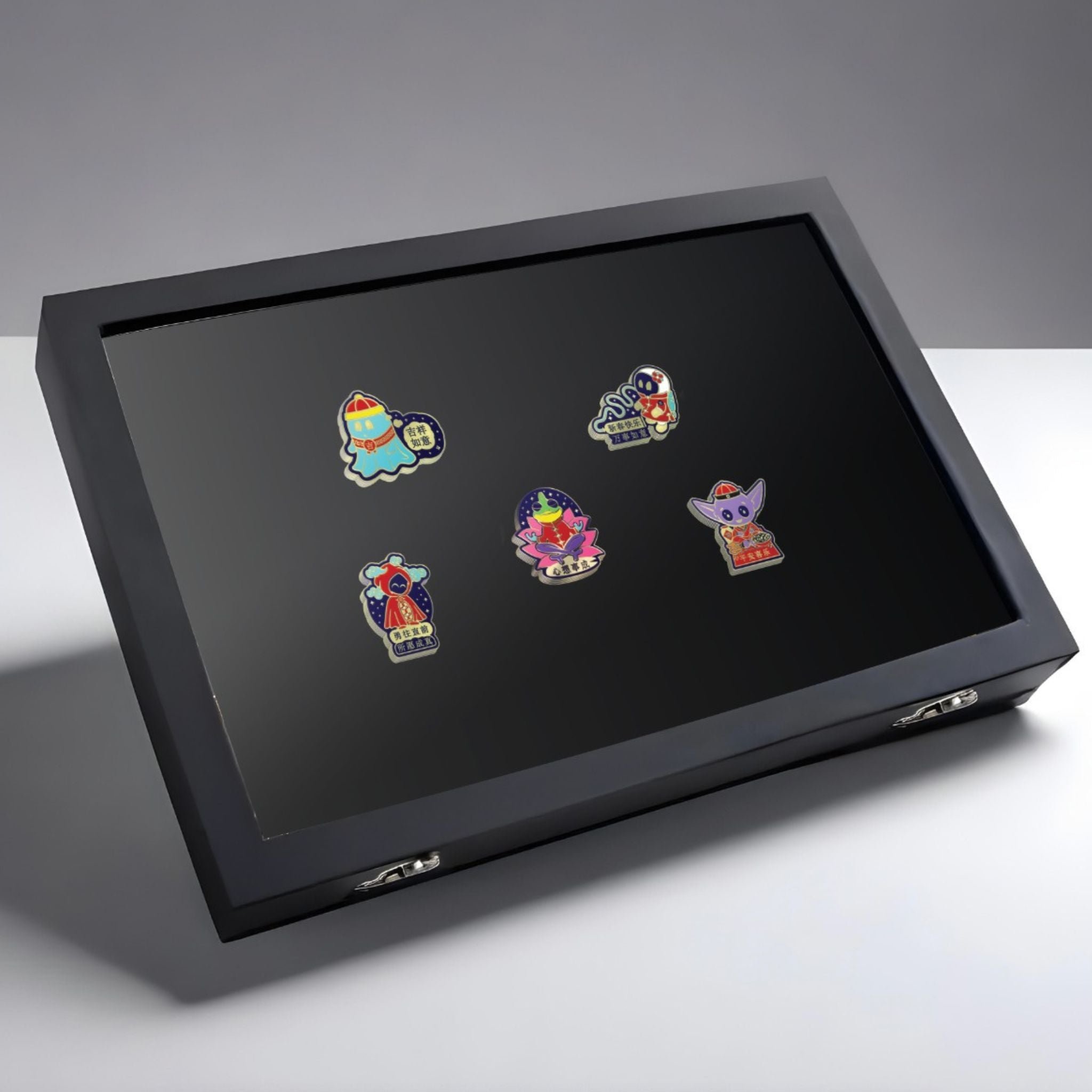 Enamel Pin Display Case